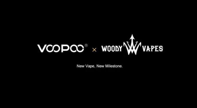 VOOPOO电子烟拆资200万 收购新域名voopoo.com-文章实验基地