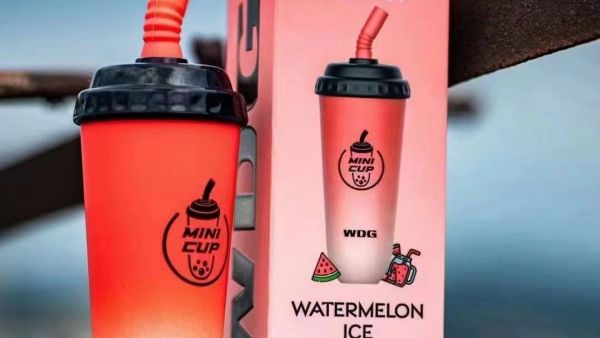 2022电子烟一次性畅销品牌排行榜：wdg奶茶杯、福禄大彩蛋、迷雾可乐罐