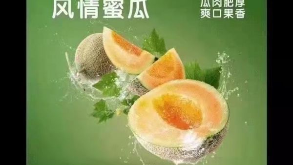 YOOZ柚子uni五代烟弹 – 风情蜜瓜口味评测 新品上市！