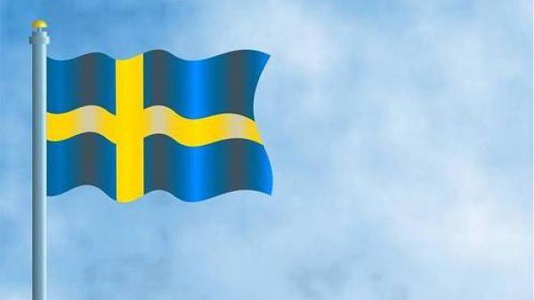 瑞典可以带电子烟吗？