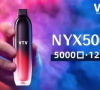vtv一次性NYX5000多少钱？