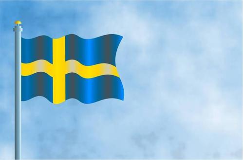 瑞典可以带电子烟吗？